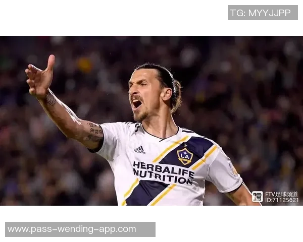 银河足球队门将的传奇故事与赛场背后的艰辛历程